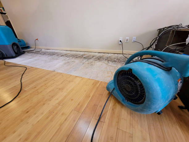 Professional Sewage Cleanup technician working in Newaygo, MI